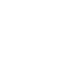 Chatbot Icon